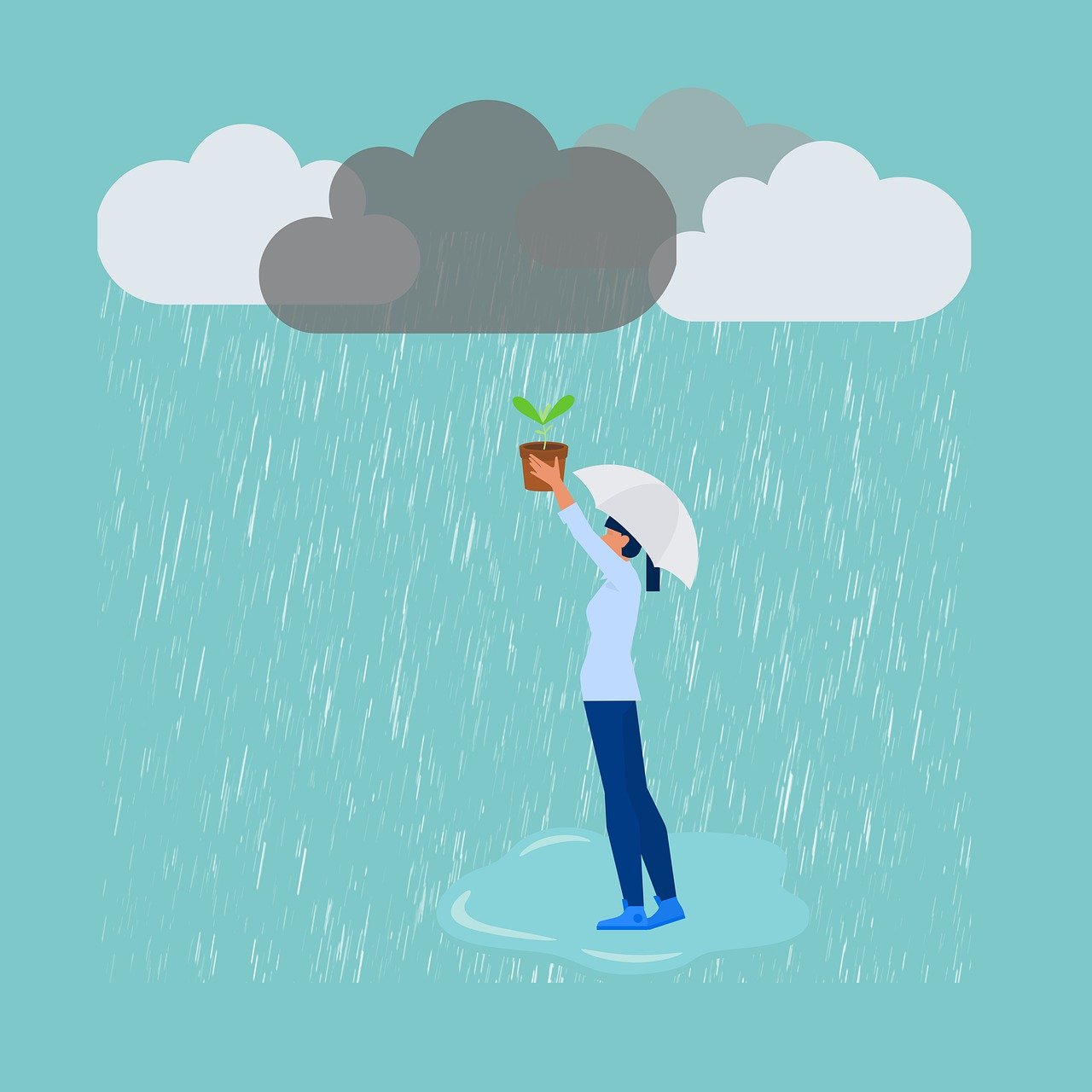 Osoba na kiši drži biljku