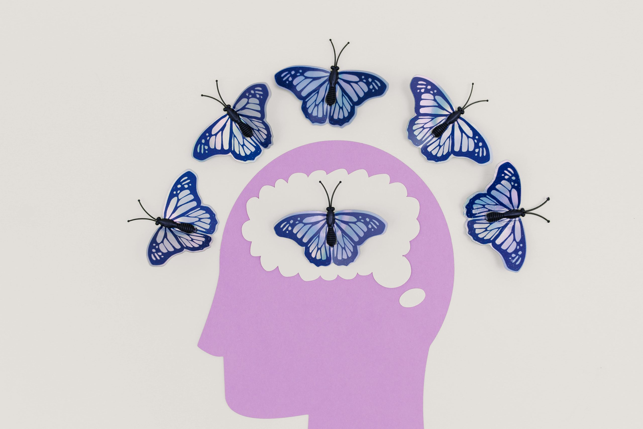 Misli, glava, mozak i leptirići
